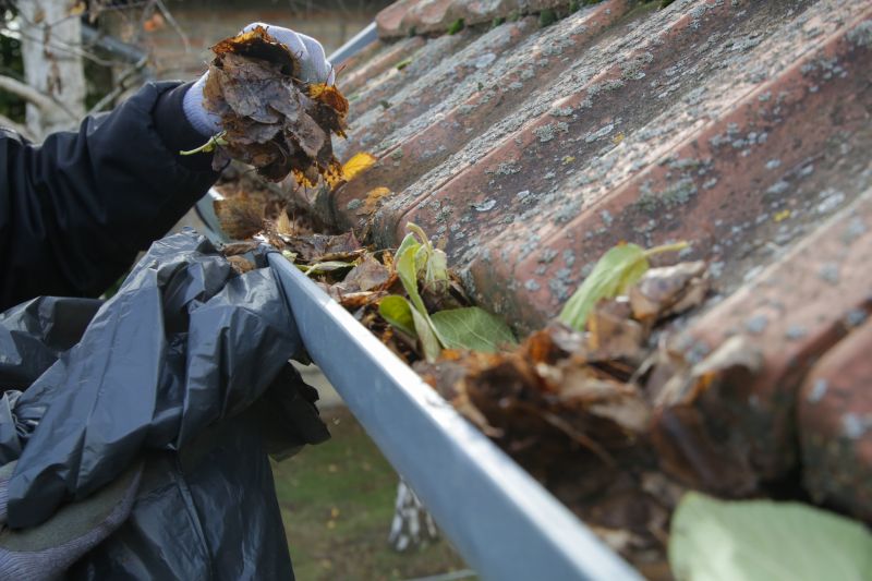 Clearing Debris from Gutter Covers